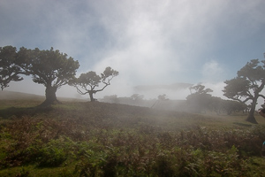 Eine Landschaft wie aus dem Märchenbuch