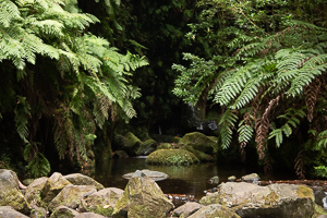 Das Ziel, der Ribeiro Bonito, ist erreicht