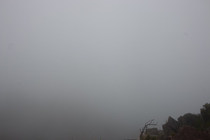 Keine Minute später ... der fast gleiche Blickwinkel