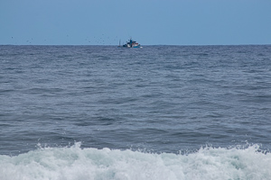 Nun freie Sicht auf den Fischkutter