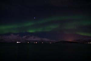 Das Nordlicht! Endlich kann ich es sehen.