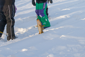 Fischen im Sekundentakt: Wieder ein Fisch am Haken.