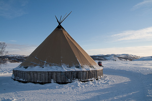 Samenzelt von außen