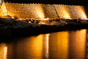 Stockfisch im Hafen von Svolvær