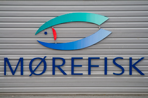 Möhrenfisch? Noch nie gehört!