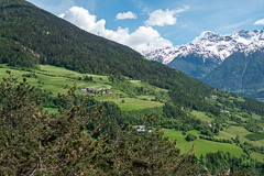 Alpenblick auf der Fahrt nach Mals