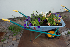 Schubkarrenpflanzschale