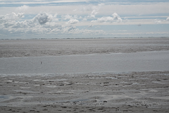 Das Wattenmeer