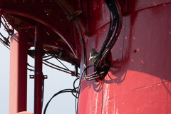 Und hier im Bildausschnitt