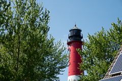 Suchbild: Finde den Vogel (BW ca. 50mm)