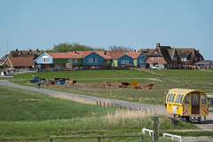 Hallig Hooge