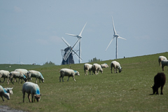 Alte und neue Mühlen