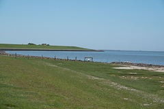 Und noch einmal Salzwiesen