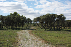 Der Einstieg in die Pfade des CLAPE