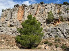 Das Massif ist alles andere als massiv