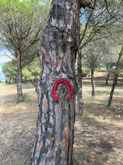 Rote Hufeisen weisen den Pferden den Weg