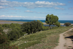 Das Meer ist in Sicht