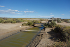Es geht durch Überschwemmungswiesen ...