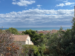 ... zurück zum Haus