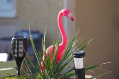 Einen pinken Plastikflamingo wie diesen sollte jeder als Dekorelement für seine Dachterasse haben