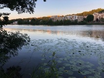 Abendstimmung an der Saône